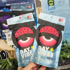 2,000MG - DAY VIBES - WATERMELON