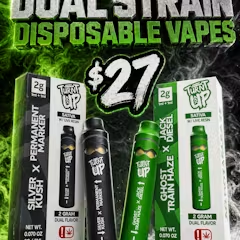 TURNT UP - 2 GRAM - DUAL STRAIN - DISPOSABLE VAPE PENS