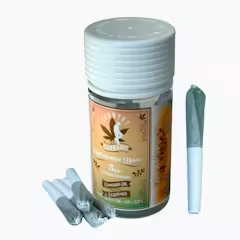 Cantaloupe Haze Mini Infused Pre-Roll 2G 5pk