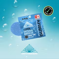 Day Changer Ocean Breeze Single Gummy