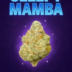 SLEEPY MAMBA - 1/8THS