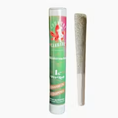 Watermelon Infused Pre-Roll