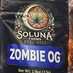 ZOMBIE OG - 1/8THS